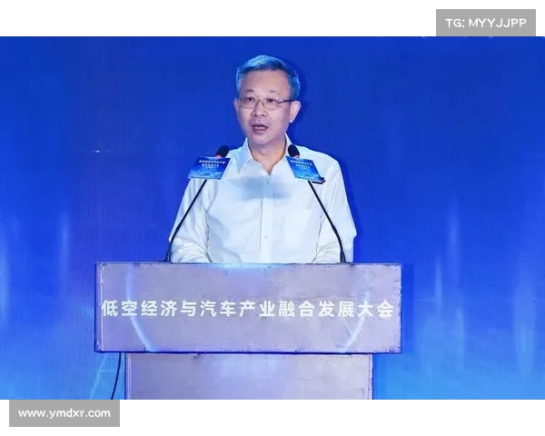 人民币原材料来源对中国经济结构调整与产业发展的深远影响分析